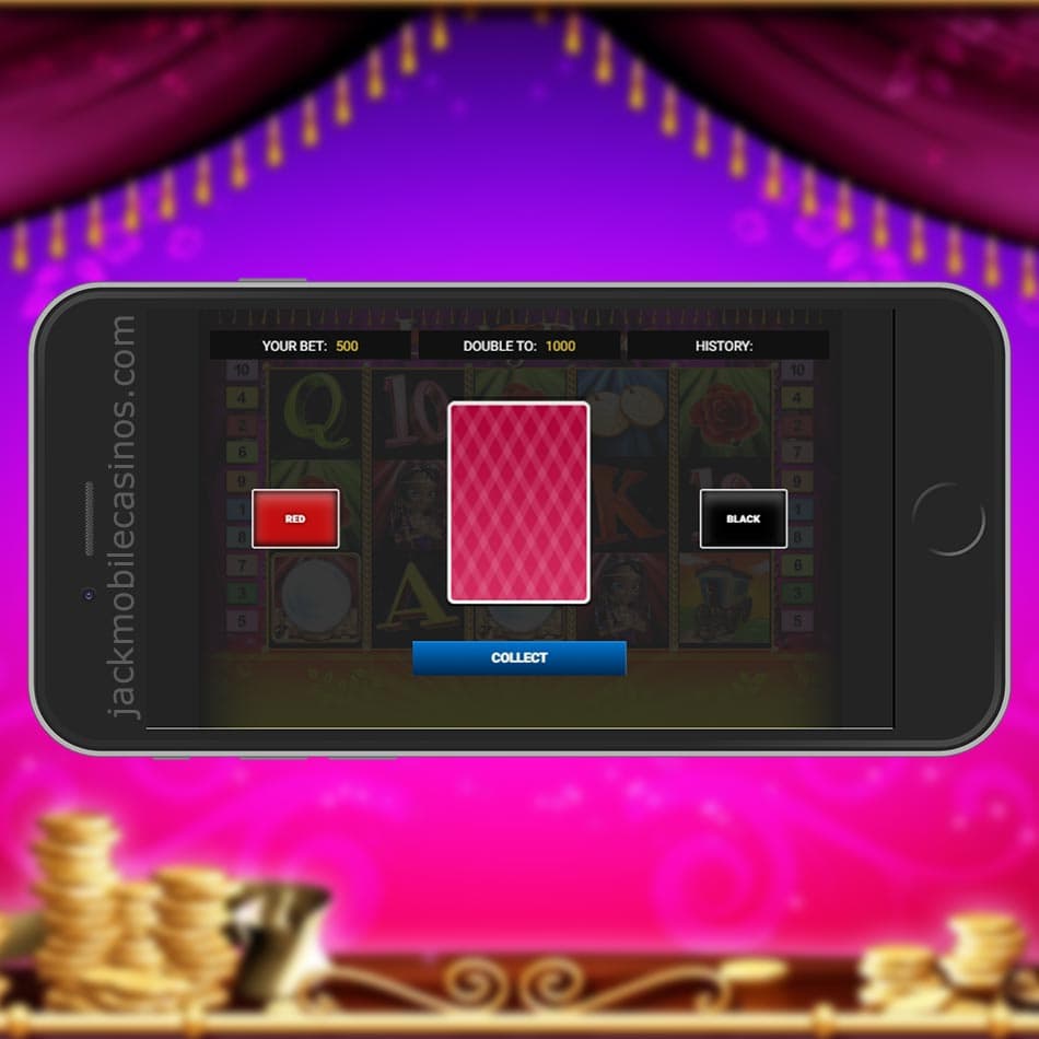 Lucky Rose Slot Machine Gamble Feature