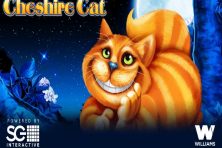 The Cheshire Cat