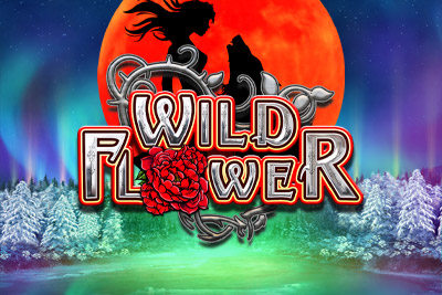 Wild Flower